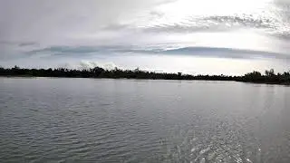 Project Storm Live Stream