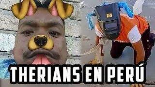 THERIANS INVADEN PER&Uacute; 🥶 | QUE ES UN THERIAN? 