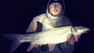 New Years Barbel Fishing