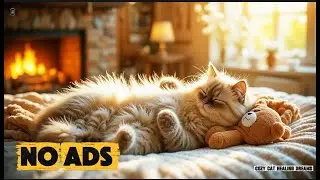 12 Hours of Calming Music for Cats  ♬ Relaxing Music for Cats Healing🐈 Cozy Cat Healing Dreams