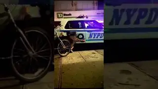 GRAFFITI TAG ON POLICE CAR 😱🚔 #graffiti #graffitiart #shorts