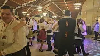 Daniel Pop - Verjelul din Dănești
