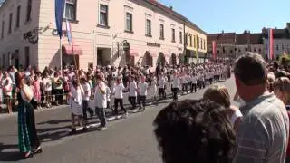 54. Winzerfest in Poysdorf 2011