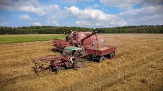 Podsumowanie Żniw 2025!! Koszenie + Prasowanie Duża Kostka/  Bizon Z056 / Claas Compact/ Steyr 9145