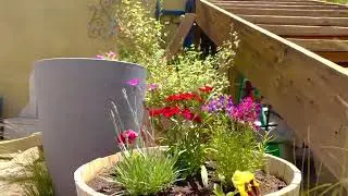 Middle Yard