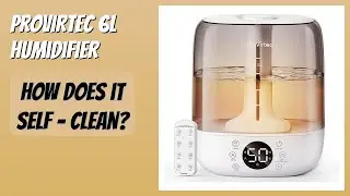 REVIEW (2025): Provirtec 6L Humidifier. Features
