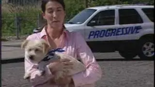 Pet Friendly Travel: Tips & Tactics for Protecting Your Pet