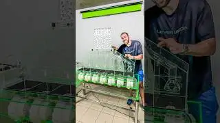 Por que eu comprei uma M&Aacute;QUINA SORTEADORA de R$30.000? 🎰💸