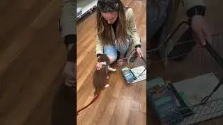 Trip to Pets at Home - 24.7.23