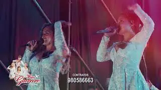 Mix Dina Paucar / Mix Cholito - Hnos Guerrero / Video EN VIVO  2026