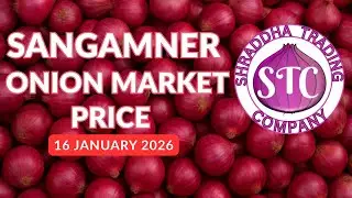 🧅 Sangamner Onion Market Price Today | Latest Auction Rates & Market Insights | 16 JANUARY 2026