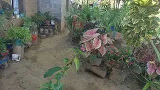 ASI FUE COMO ENERO ESTUVO Y DEJO EL JARDÍN PARA FEBRERO 