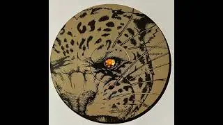 Kally Weed - feat Danman - O.B.F. - WILD LP - DBKKLP01