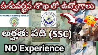 AP Animal Husbandry Department Recruitment | Govt Jobs In AP|AP Animal Husbandry Department job 2025