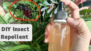 Harnessing the Power of Cloves and Alcohol: DIY Insect Repellent