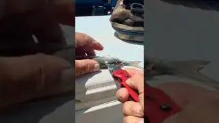 How to make a bait ball with a mullet ￼
