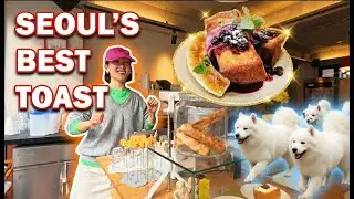 KOREA VLOG | The BEST French Toast in Seoul (TikTok Famous) | Samoyed Dog Cafe!