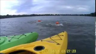 Brian Suddeth and Dan Projansky swimming Open Water Butterfly