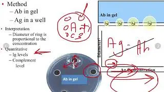 Antigen-antibody reactions laboratory part1