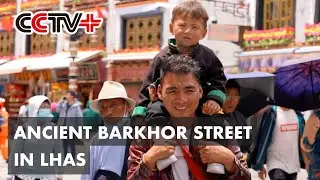 Ancient Barkhor Street in Lhasa Thrives with New Dynamism amid Cultural Inheritance, Preservation