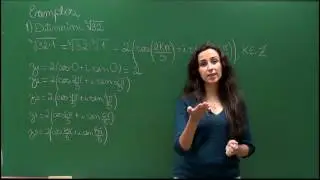 Raízes da Unidade