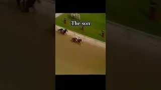 bold ruler the father of the best race horse