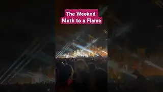 The Weeknd - Moth to A Flame #live #concert #prague #czech #republic #moth #flame #theweeknd