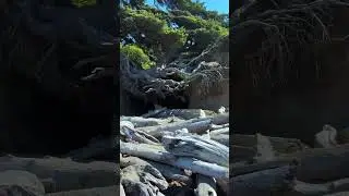 RV Life #shorts #travel #explore #nature #shortvideo #yt #photography #ytshorts #rv #video #vlog