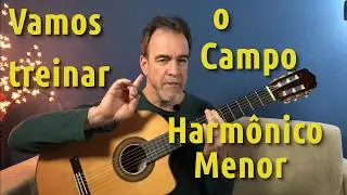 TREINANDO o Campo Harmônico do Modo Menor.