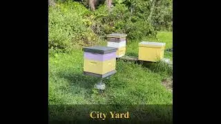 City yard Inspection