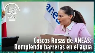 Cascos Rosas de ANEAS: equidad de g&eacute;nero e innovaci&oacute;n en el sector h&iacute;drico | La Ruta Verde