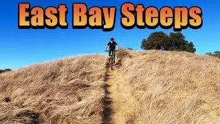 East Bay Steeps