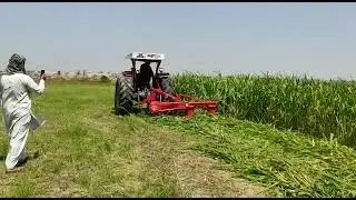 Our VIGO MOWER cutting Jawar/Sorghum effortlessly - most trusted drum mower in Pakistan #cattlekit