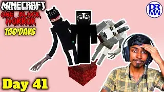 අද වැඩ ගොඩායි! Day 41 | Minecraft 100 Days One Block Horror Sinhala | DR MaxWave Gaming