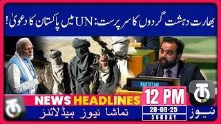 Pak Rejects Ind Allegations at UNGA, Terms India 'Sponsor of Terrorism' _12PM Headline_Tamasha News