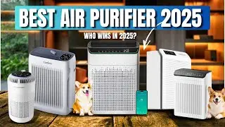 Best Air Purifier for Allergies and Pets? (Top 5 Tested)
