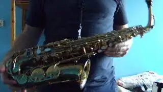 Selmer USA 162 Omega