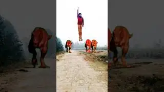 Big Dinosaur chase T-rex Chasing part2#shorts#dinosaur#youtube#dinosaurs#youtubeshorts#shortsfeed