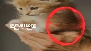 Sillst - --. -.- -.. ... .-. ..- [FutureBots Release]