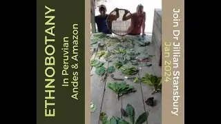 ETHNOBOTANY FIELD COURSE - Meet the Plants of the Andes and Plants of Amazon