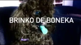 Brinko de Boneka - Cachorrona Mel (Official Music)