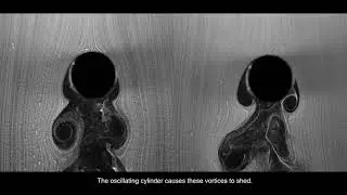Vortex arms - symmetric vortices in the wake of an oscillating cylinder