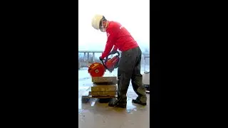 DSH Cut-Off Saw