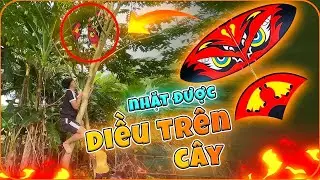 Bất ngờ nhặt được con diều mắt cú mini mắc trên cây | Trò Mèo TV