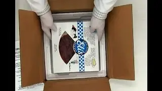 Shipping frozen cake/pie with dry ice and insulated foam container