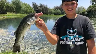 Catching BASS ON HOT DOGS!!!!