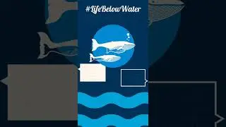 #LifeBelowWater - John Patterson - Instagram Story Format