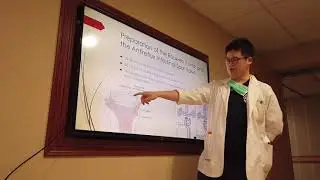 Kasai portoenterostomy