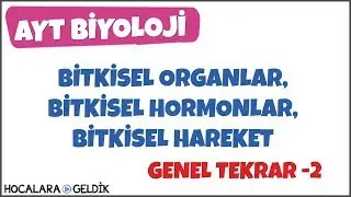 Bitkisel Organlar, Bitkisel Hormonlar, Bitkisel Hareket