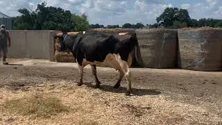 c2525